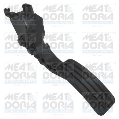 Accelerator Pedal Unit